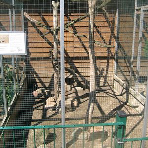 Skærup Zoo - Ground squirrel exhibit