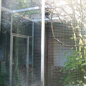 Skærup Zoo - Starling aviary