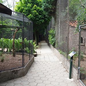View of pathway in between aviaries, 2019-05-25