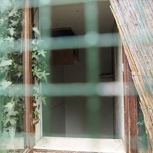 Common green magpie indoor housing, 2019-05-25