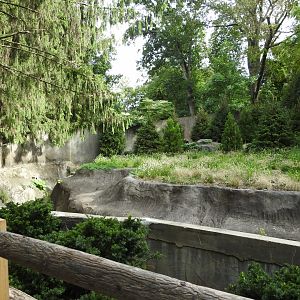 Upcoming Dhole Exhibit pt 1