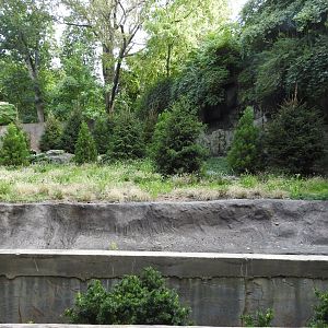 Upcoming Dhole Exhibit pt 2