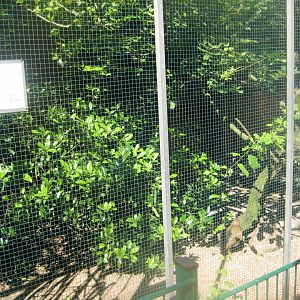 Skærup Zoo - Rail aviary