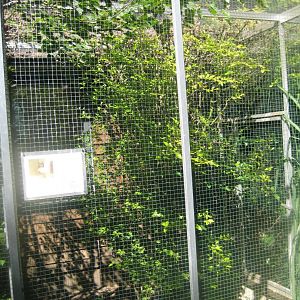 Skærup Zoo - Owl aviary #1