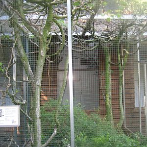 Skærup Zoo - Owl aviary #2