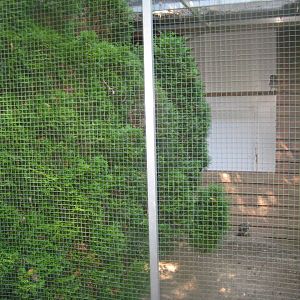 Skærup Zoo - Owl aviary #3