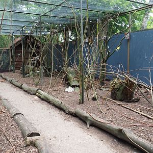 Walk-through aviary with pheasants, parakeets and a turaco, 2019-05-25