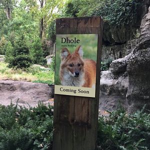 Dhole Sign