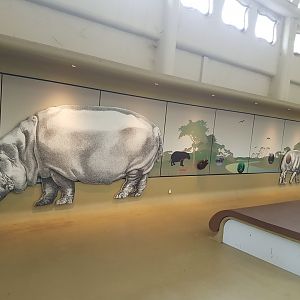 Hippo mural near the Pygmy hippo indoor enclosure