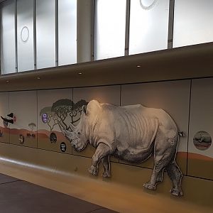 Rhino mural near the Rhinoceros indoor stables