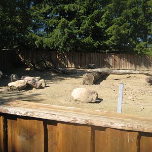 Skærup Zoo - Warty pig exhibit #2