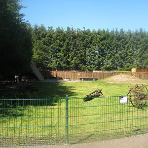 Skærup Zoo - Sheep exhibit