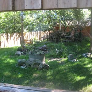 Skærup Zoo - African aviary