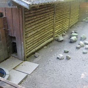 Skærup Zoo - Pig exhibit