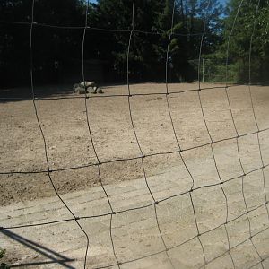 Skærup Zoo - Axis deer exhibit