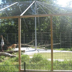 Skærup Zoo - Jaguar exhibit