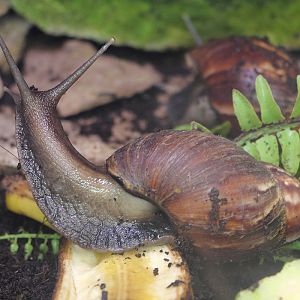 Tierpark Hellabrunn (Munich)