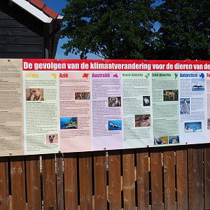 Consequences of climate change on different continents sign, 2019-06-01