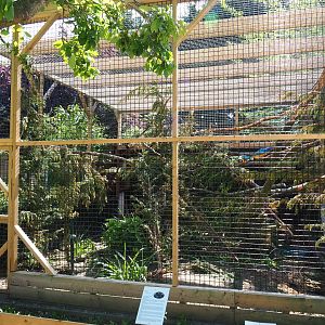 Blue-and-gold macaw and Central American agouti exhibit, 2019-06-01