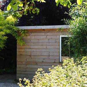 Blue-and-gold macaw and Central American agouti barn, 2019-06-01