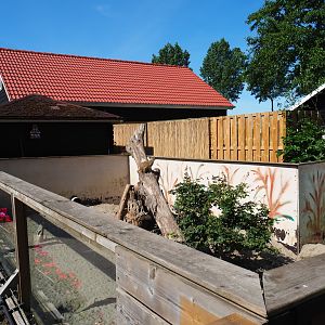 Meerkat exhibit, 2019-06-01