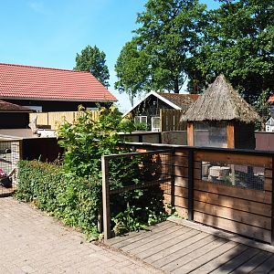 Meerkat exhibit, 2019-06-01