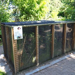 Eurasian harvest mouse exhibit, 2019-06-01
