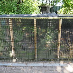 Eurasian harvest mouse exhibit, 2019-06-01