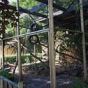 Tayra exhibit, 2019-06-01