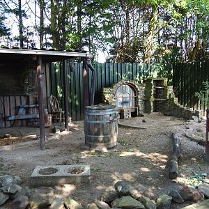 Black-tailed prairie dog exhibit, 2019-06-01
