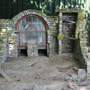 Decoration and hide-out in the black-tailed prairie dog exhibit, 2019-06-01