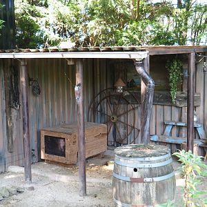 "Wild West" props area in the black-tailed prairie dog exhibit, 2019-06-01