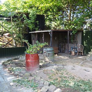 Black-tailed prairie dog exhibit, 2019-06-01