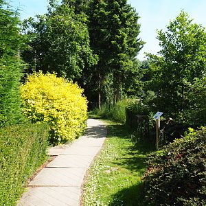 Park view, 2019-06-01