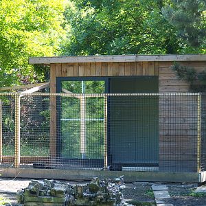 Greater flamingo and Eurasian crane holding building, 2019-06-01
