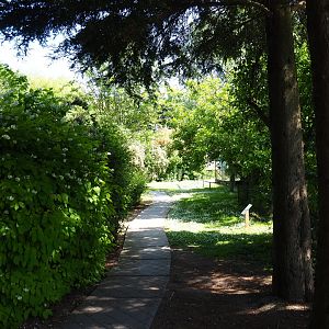 Park view, 2019-06-01