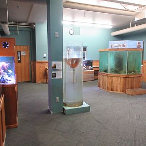 Various Tanks (only 11 in building)