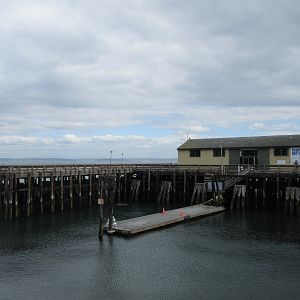 Aquarium (only 11 tanks)