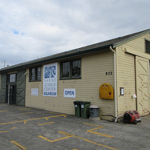 Aquarium (only 11 tanks)