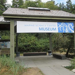 Museum (across street from Aquarium)