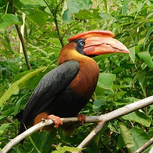 Colchester Zoo August 2019