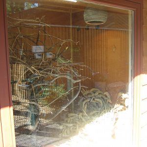 Skærup Zoo - Grass rat exhibit