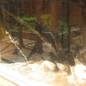 Skærup Zoo - Harvest mouse exhibit