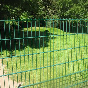 Skærup Zoo - Mixed wallaby exhibit