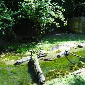 Rostock Zoo - Eurasian Otter Enclosure