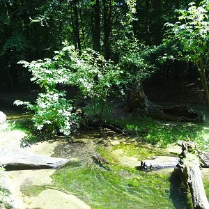 Rostock Zoo - Eurasian Otter Enclosure