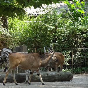 Rostock Zoo