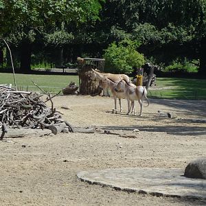 Rostock Zoo