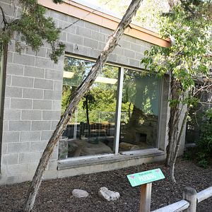 small animal building