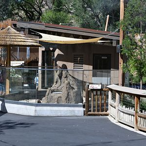 meerkat exhibit (opened summer 2019)